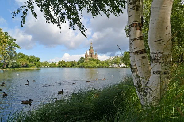 PETERHOF, RUSSIA - JULY 24, 2015: View of Holguin a pond in Kolonistsky park — Stock Photo, Image