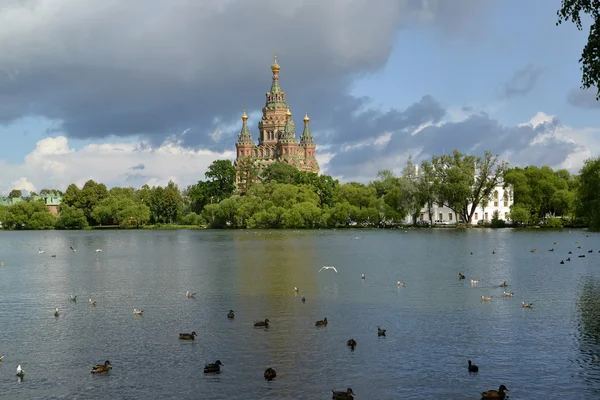 Peterhof, Rusya - 24 Temmuz 2015: Aziz Peter ve Pavel bir katedral görünümünü Holguin bir gölet kıyısında — Stok fotoğraf