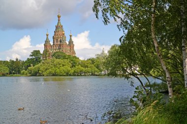 Holguin bir su birikintisi Kolonistsky park göster. Peterhof