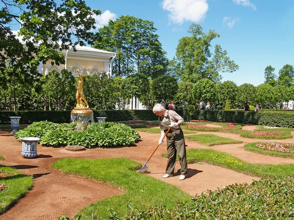 Peterhof, russland - 11. juni 2008: die hausmeisterin fegt müll im monplezirsky-garten — Stockfoto