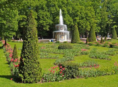 Peterhof, Rusya - 11 Haziran 2008: Roma Çeşmesi ve Çiçeklik Nizhny Park'ta bir görünüm