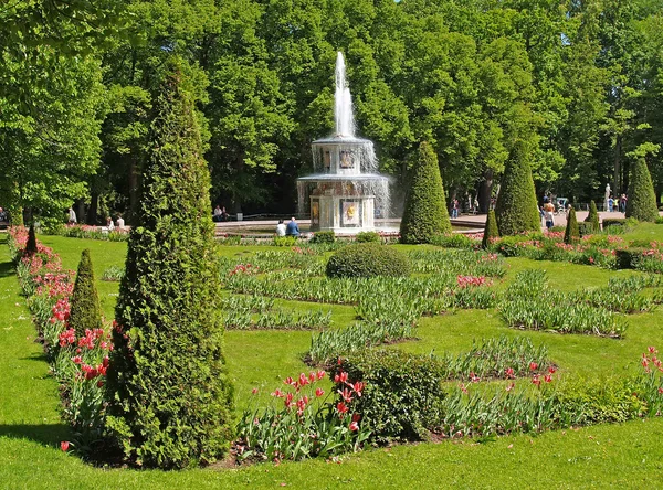 Peterhof, Ryssland - juni 11, 2008: En vy av den romerska fontänen och en blomma säng i Nizjnij park — Stockfoto