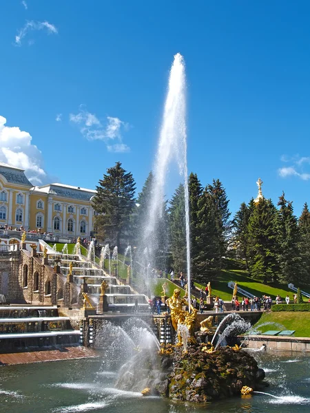 PETERHOF, RUSIA - 11 DE JUNIO DE 2008: La fuente "Samson Who Is Tearing Apart a Lion Mouth" en los asientos de la orquesta de Nizhny del parque —  Fotos de Stock