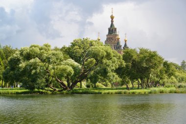 Görünümü bir gölet Holguin set of. Peterhof, Kolonistsky Parkı 
