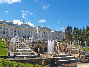   Peterhof, Rusya - 11 Haziran 2008: Görünümünü büyük cascade ve orkestra koltuk Nizhny Park sarayda