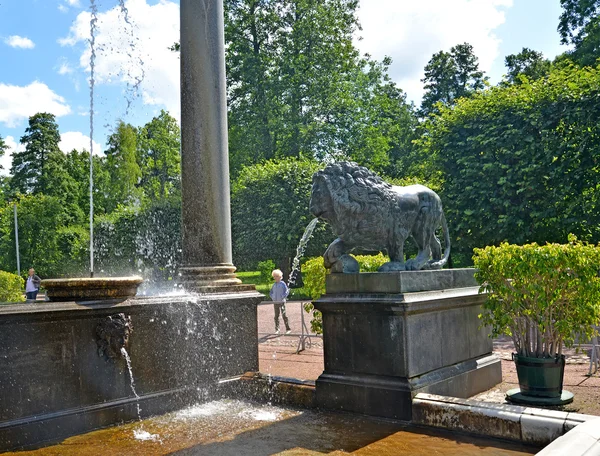 PETERHOF, RUSIA - 24 de julio de 2015: Un fragmento de la cascada del León en el parque Nizhny —  Fotos de Stock