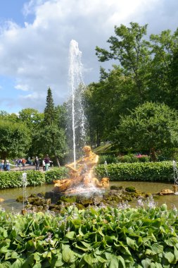 Peterhof, Rusya - 24 Temmuz 2015: 