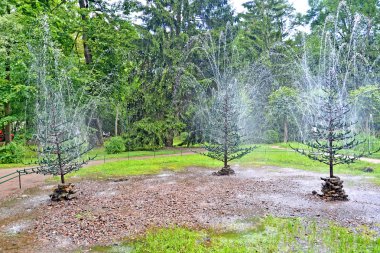 Peterhof, Rusya - 24 Temmuz 2015: Köknar ağaçlarının çeşme kırık