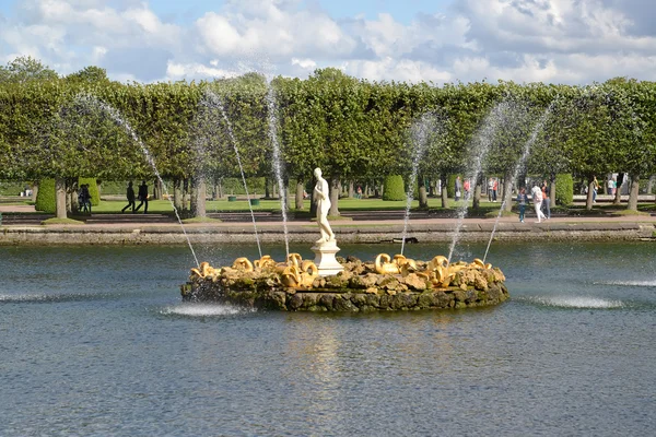 PETERHOF, RUSSIE - 24 JUILLET 2015 : Fontaines d'étangs carrés. Haut — Photo