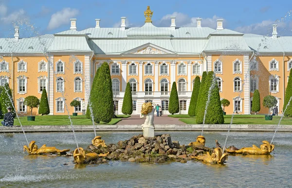PETERHOF, RUSIA - 24 de julio de 2015: Fuente de roble y Palacio de Gran Peterhof. Jardín superior — Foto de Stock