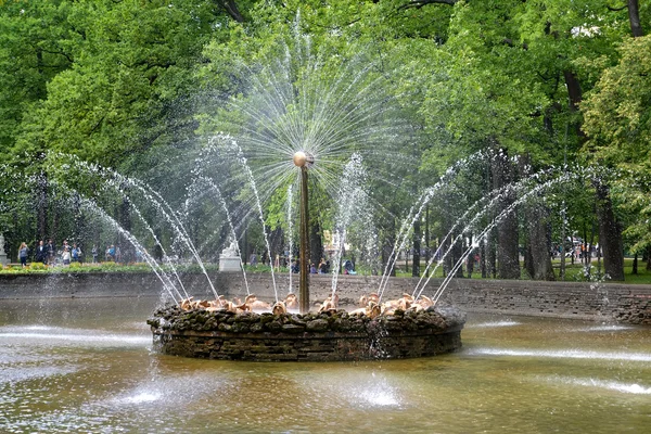 Peterhof, Rusya - 24 Temmuz 2015: Nijniy PA güneş çeşme