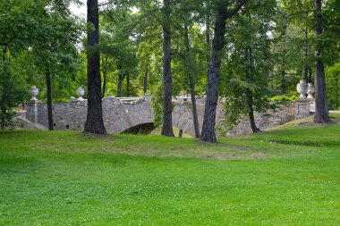 Peterhof, Rusya - 24 Temmuz 2015: Ruinny Köprüsü'nün görünümü. Alexandria park 