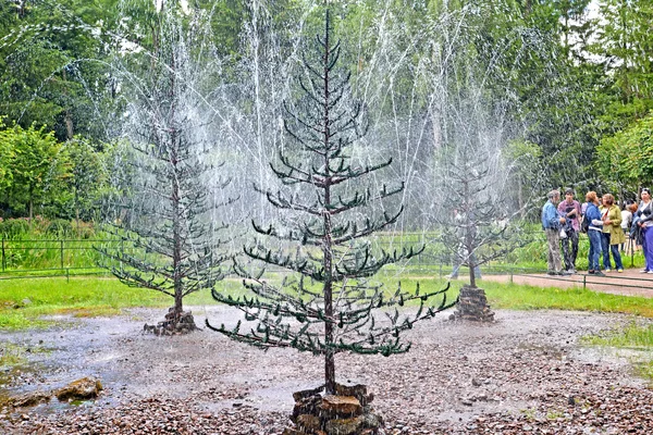 Peterhof, Oroszország - 2015. július 24.: A fenyők kút cracker Nyizsnyij Park — Stock Fotó