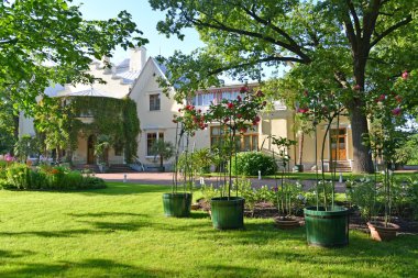 Peterhof, Rusya - 24 Temmuz 2015: Bir çiçek yatmadan önce çiftçi Sarayı görünümünü. Alexandria park
