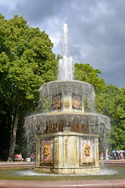 Петергоф, Росія - 24 липня 2015: Римських фонтан у нижній p — стокове фото