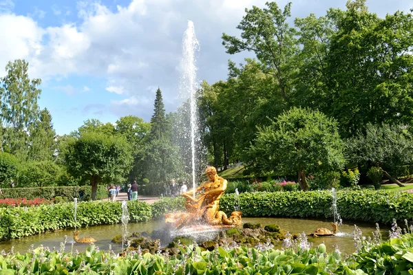 PETERHOF, RÚSSIA - 24 de julho de 2015: A fonte "Triton Who Is Breaking Off a Mouth to a Sea Monster" ("Hothouse") no parque Nizhny — Fotografia de Stock