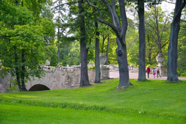 Peterhof, Rusya - 24 Temmuz 2015: Park Alexandr Ruinny Köprüsü