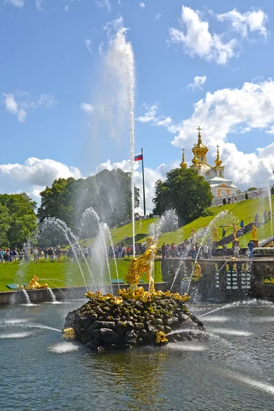 彼得夏宫，俄罗斯-2015 年 7 月 24 日:"参孙谁是撕裂分开狮子口"喷泉。较低的公园 — 图库照片
