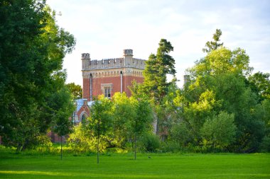 Peterhof, Rusya - 24 Temmuz 2015: Park Alexandria 