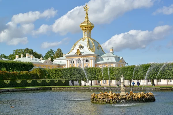 PETERHOF, RUSSIA - JULY 24, 2015: Fountains of Square ponds against the museum "Special Storeroom". Top garden — Stock Photo, Image