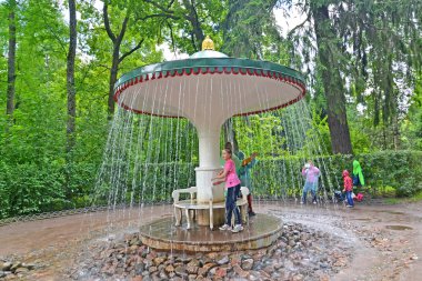 Peterhof, Rusya - 24 Temmuz 2015: Umbrella çeşme kırık 