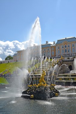 Peterhof, Rusya - 24 Temmuz 2015: 