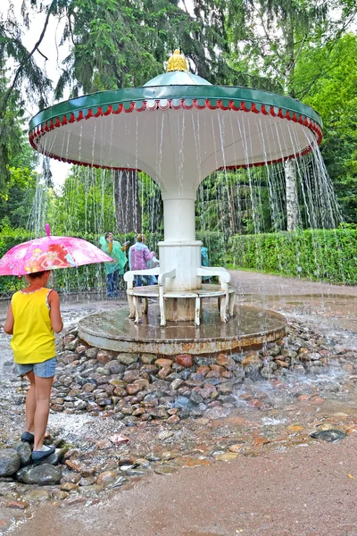 Peterhof, Ρωσία - 24 Ιουλίου 2015: Το κορίτσι για την ομπρέλα πυρόλυσης κρήνη στο Νίζνι πάρκο — Φωτογραφία Αρχείου