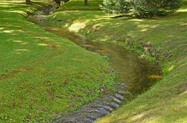 The stream proceeds through park. Summer landscape — Stock Photo, Image