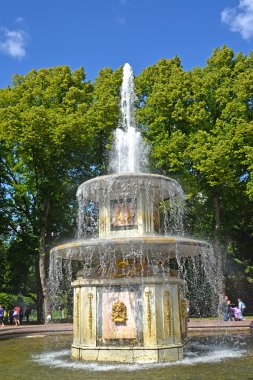 Peterhof, Rusya - 24 Temmuz 2015: Güneşli bir günde Roma Çeşmesi
