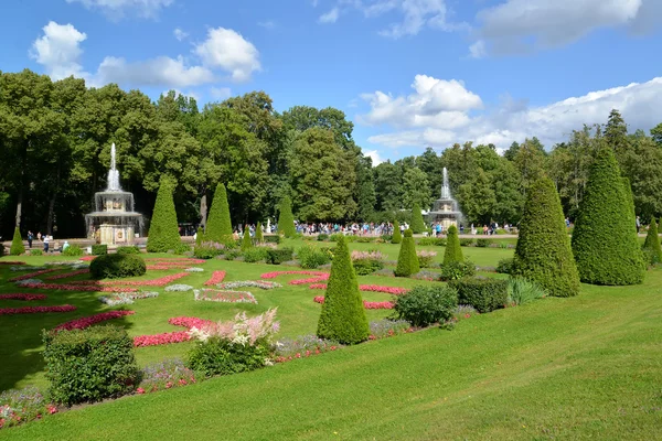 PETERHOF, RUSSIA - JULY 24, 2015: A view of the Roman fountains  and a flower bed in a summer sunny day — Stock Photo, Image