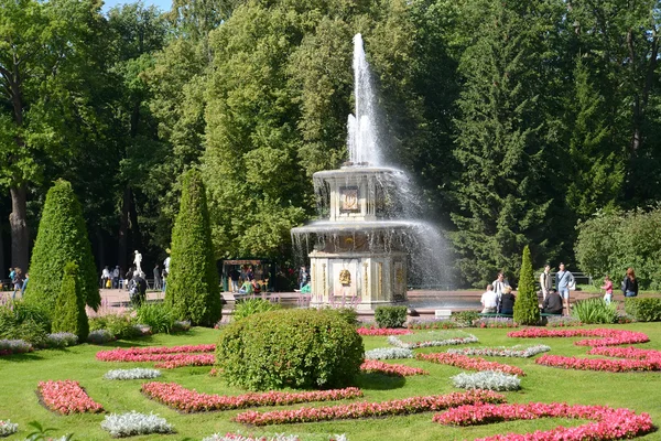 Peterhof, Ryssland - 24 juli 2015: En vy av de romerska fontänerna och en blomma säng i en solig sommardag — Stockfoto