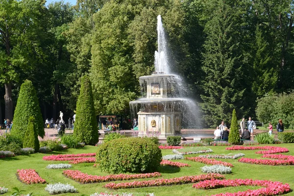 PETERHOF, RUSSIA - JULY 24, 2015: A view of the Roman fountains and a flower bed in a summer sunny day — Stock Photo, Image