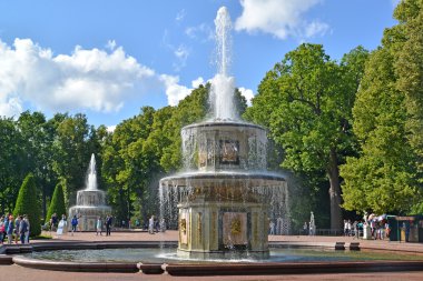 Peterhof, Rusya - 24 Temmuz 2015: Summeer güneşli günde Roma çeşmeleri