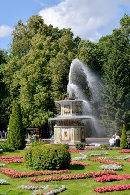 Peterhof, Rusya - 24 Temmuz 2015: Roma Çeşmesi ve güneşli bir yaz çiçek yatakta bir görünüm