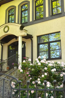 Çiçek açması ormangülü karşı bir ev