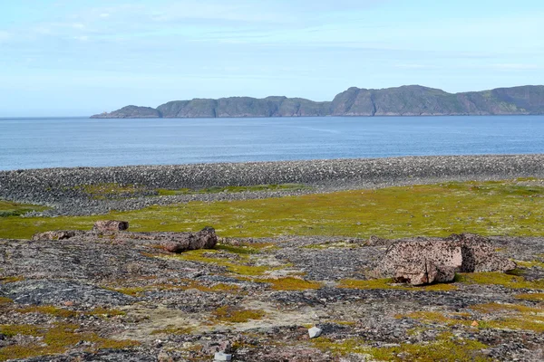 Vista de la costa del mar de Barents en verano. Península de Kola —  Fotos de Stock