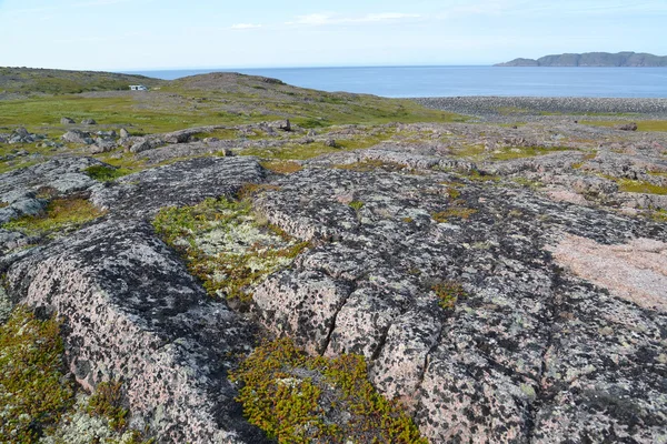 Granit Etkilenmeler Tundra Barents Denizi kıyısında. . Murmansk bölgesi — Stok fotoğraf