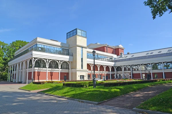 St. petersburg, russland - 16. juli 2014: jugendtheater auf fontanka, izmaylovsky garden — Stockfoto