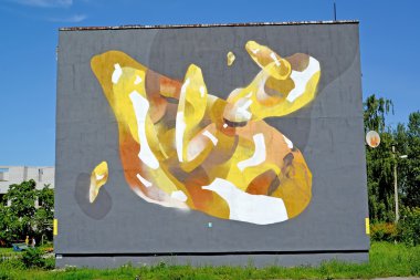 Amber, Rusya - 27 Haziran 2016: Graffiti 