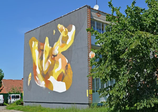 AMBER, RÚSSIA - JUNHO 27, 2016: Graffiti "Âmbar" em uma cara de fim de casa — Fotografia de Stock