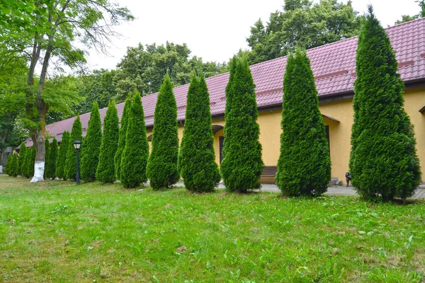 Gewöhnliche Landung Eines Westlichen Tui Park Komposition Der Landschaft — Stockfoto