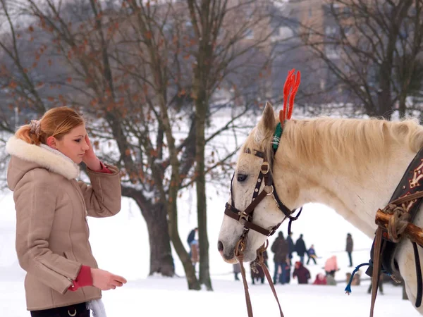 Kalininingrad Rússia Janeiro 2008 Cavalo Carrega Trenó Com Crianças — Fotografia de Stock