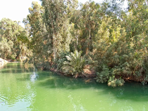 Vegetation Banks Jordan River Place Baptism Jesus Christ Israel — Stock Photo, Image