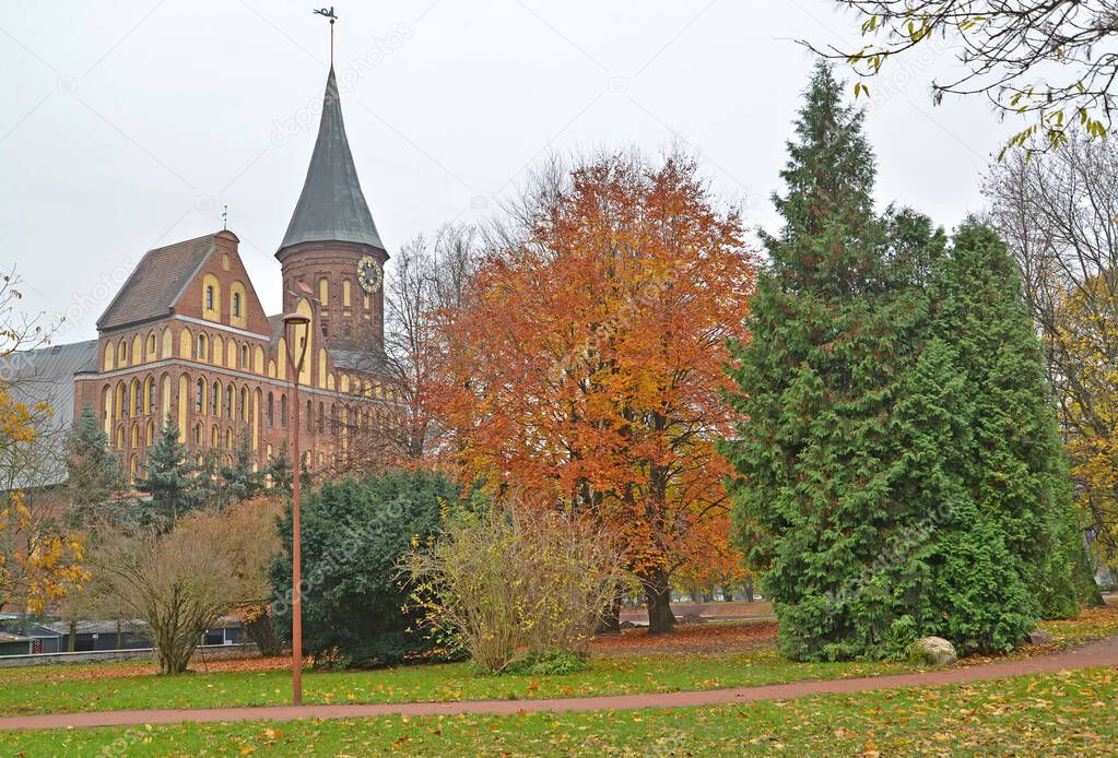 Kenigsberg Cathedral in the autumn park. Kant Island. Kaliningrad