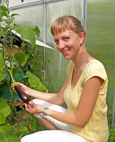 Une Fille Tenant Une Aubergine Dans Une Serre — Photo