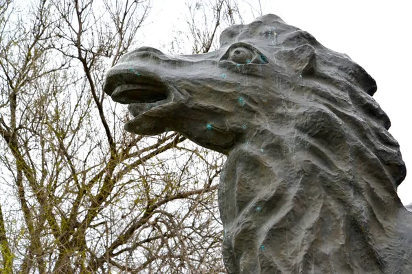 Elista Rússia Abril 2017 Fragmento Escultura Camel Proprietário Estepe Calmúquia — Fotografia de Stock