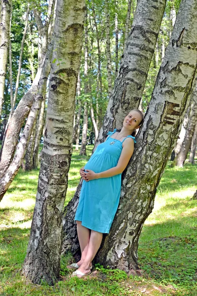 Eine Junge Schwangere Frau Steht Zwischen Birken Wald — Stockfoto