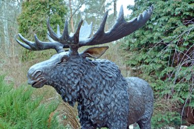 KALINGRAD REGION, RUSSIA - Mayıs 05, 2009: Ormandaki geyik heykeli. Ziyaret Merkezi 'nin Kurshskaya Ulusal Parkı Müze Kompleksi Bölgesi