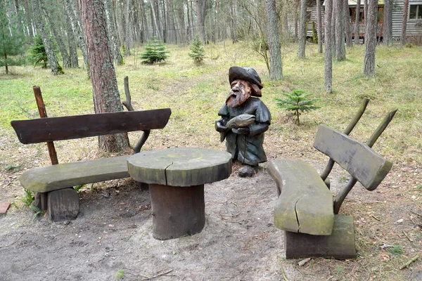 Región Calininingrado Rusia Febrero 2015 Lugar Descanso Bosque Complejo Museístico —  Fotos de Stock