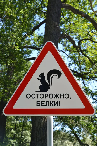 Ostrożności znak "ostrożnie, wiewiórki!" — Zdjęcie stockowe